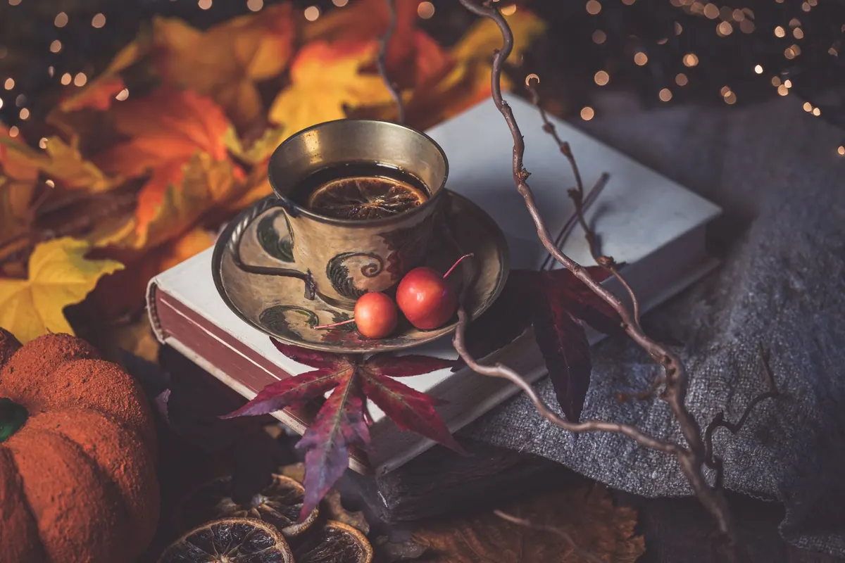 Seasonal Reading: Non-Fiction Books to Match the British Seasons